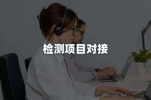检测项目对接