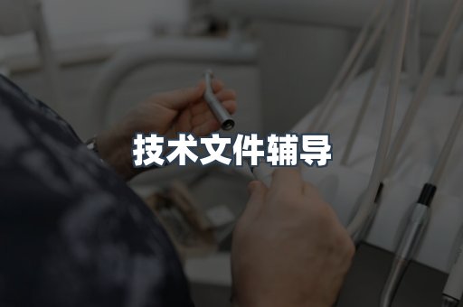 技术文件辅导